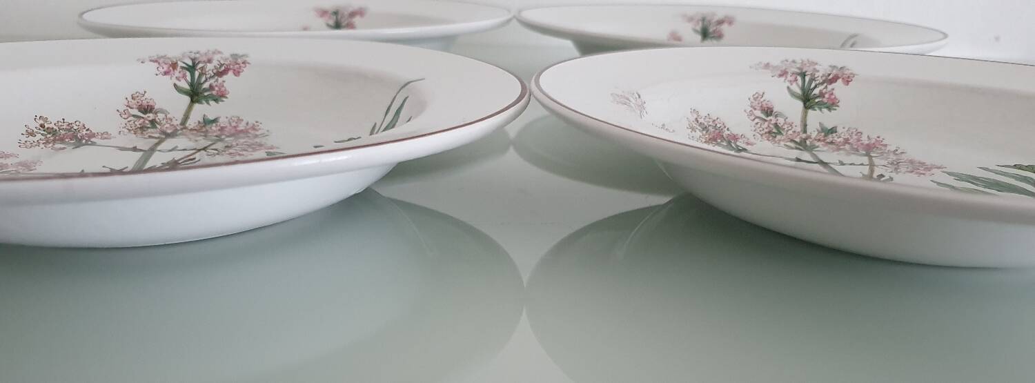 Set of 4 Villeroy and Boch plates, Botanica collection