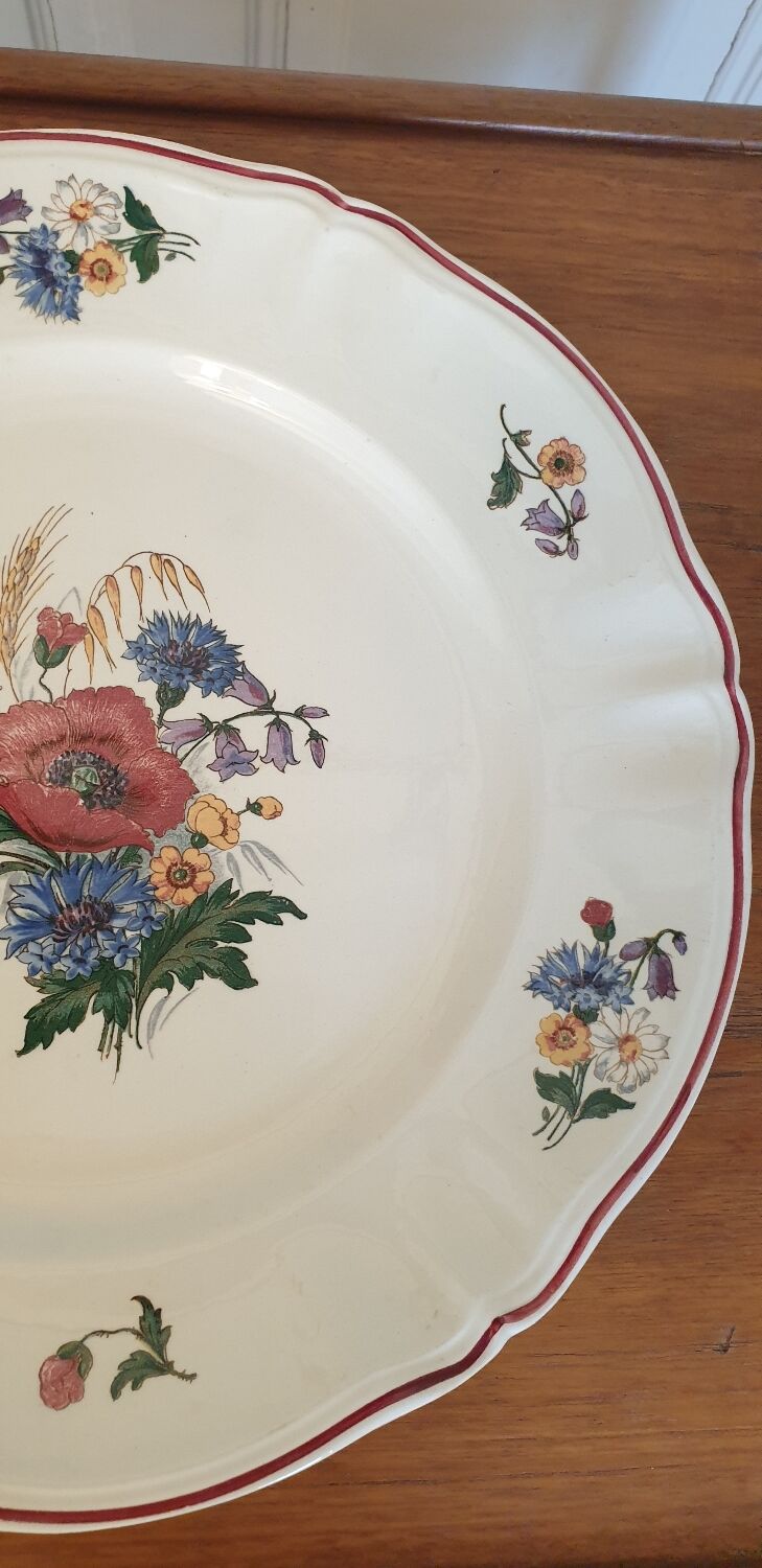 Dish Agreste Sarreguemines