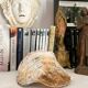 Large seashell: Placuna