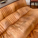 Aralia Sofa by Michel Ducaroy
