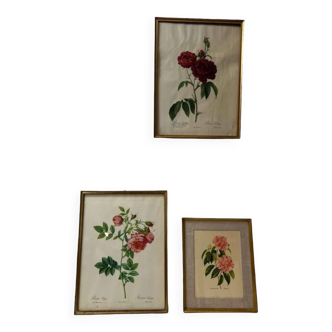 Set of 3 vintage gold flower frames