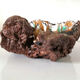 Enamelled lava stone ashtray design 60s - 70s