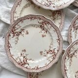8 Ridgways England Royal Semi Porcelain "Eton" Ironstone Dinner Plates