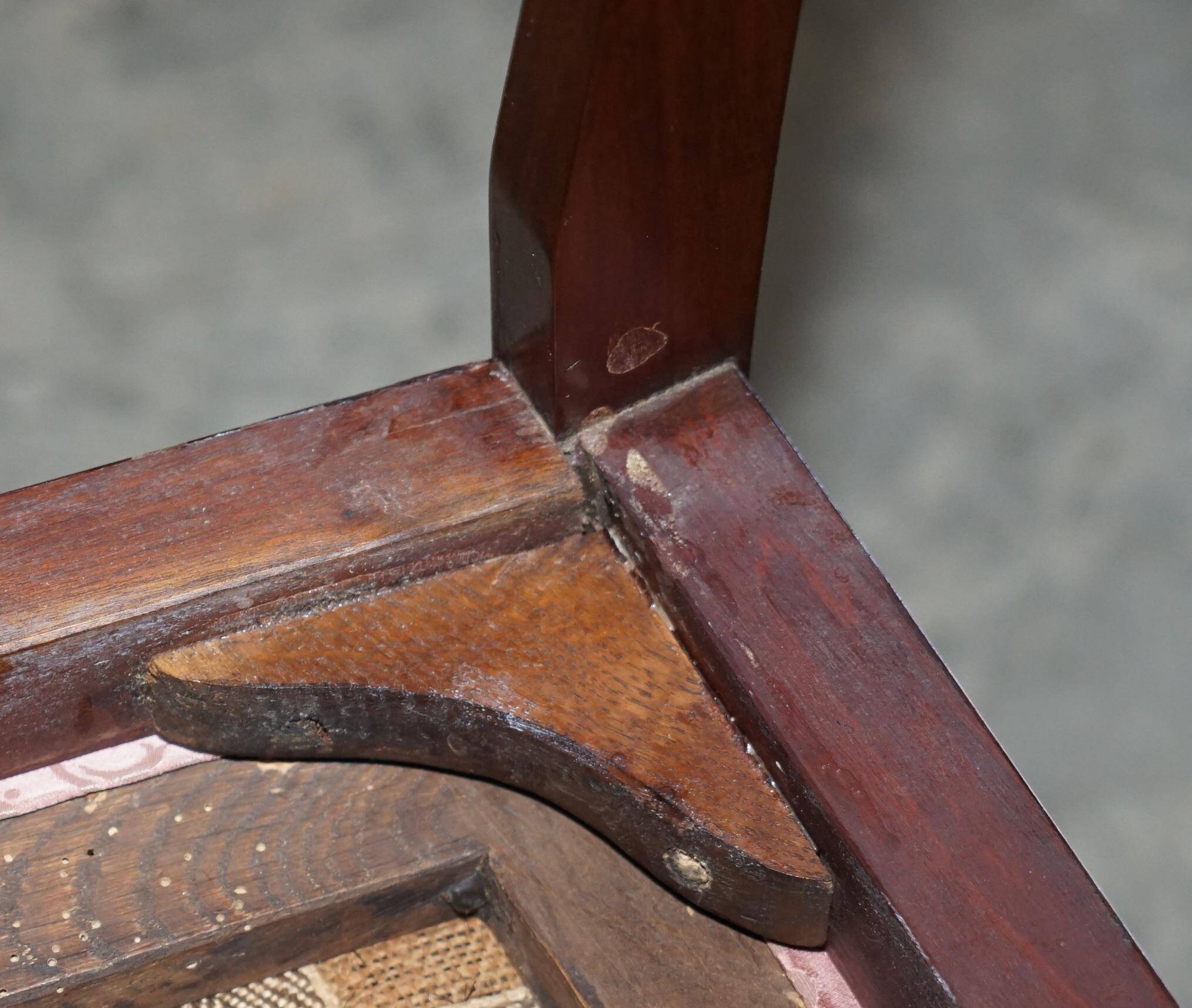 Paire de chaises anglaises anciennes en bois dur avec pieds sculptés en patte de lion