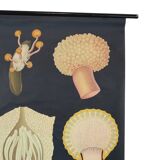 Large Vintage School Map Ergot Fungus Jung Koch Quentell