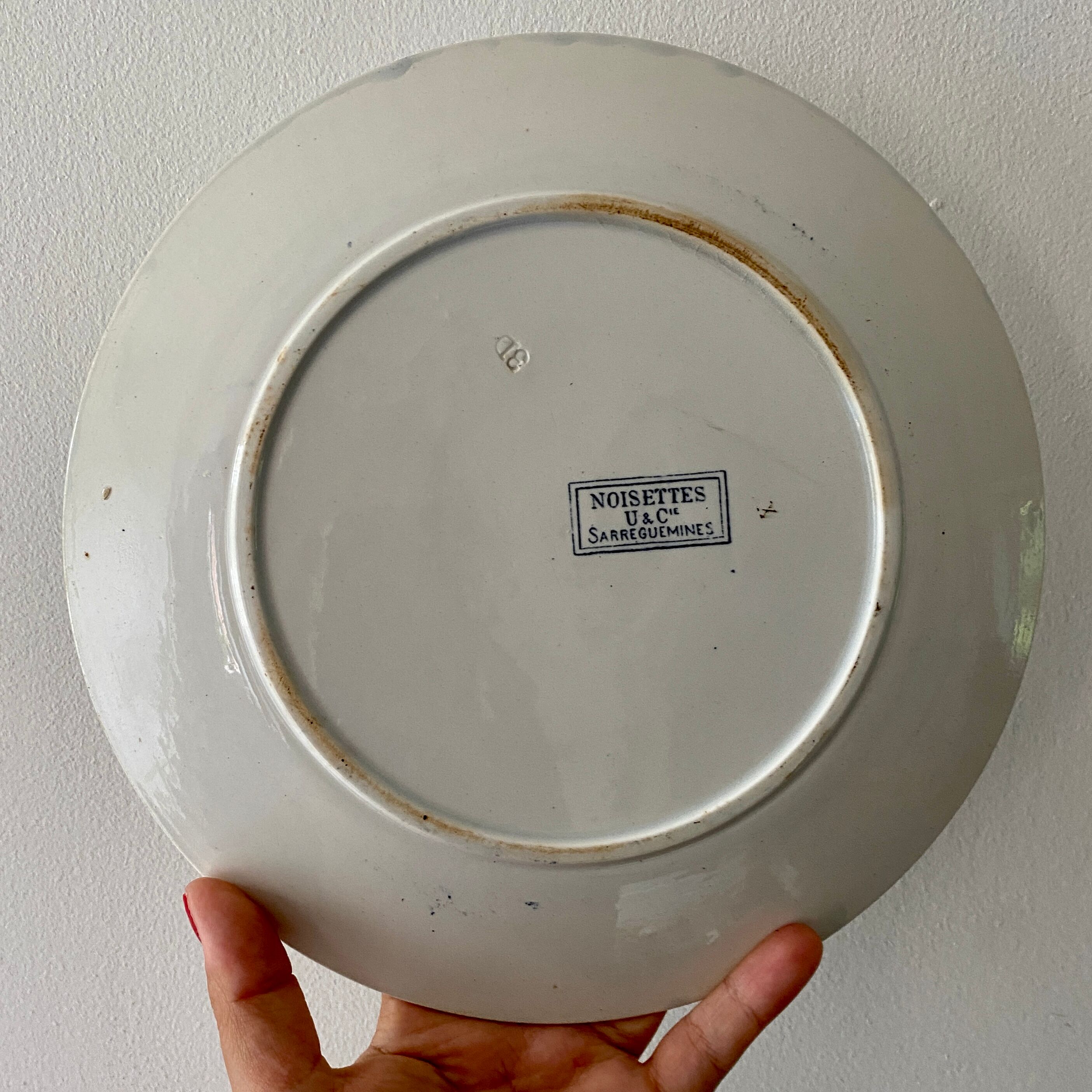 Set of 10 old flat plates in iron earth, model Noisette de Sarreguemines