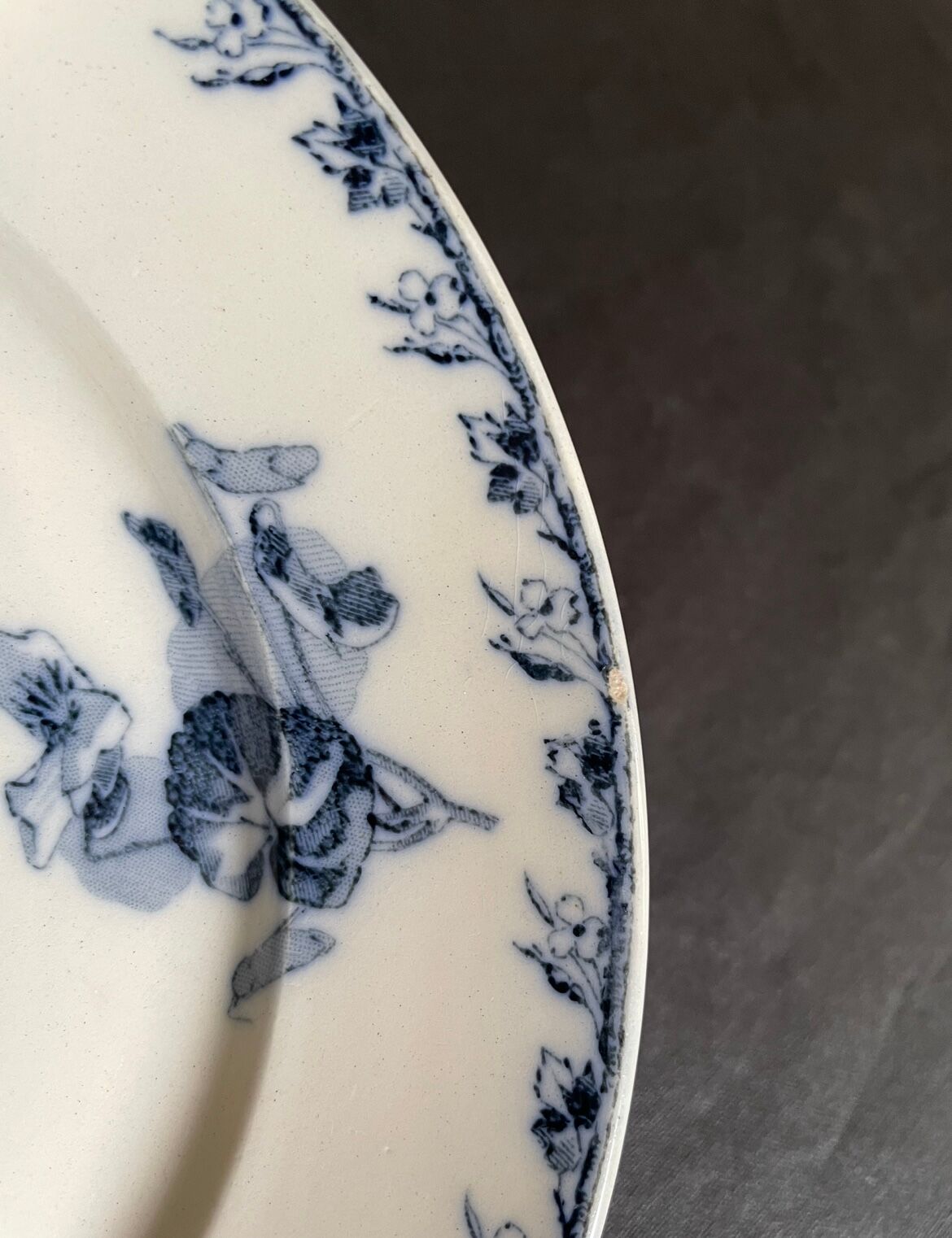 Dessert plates Sarreguemines model Stella