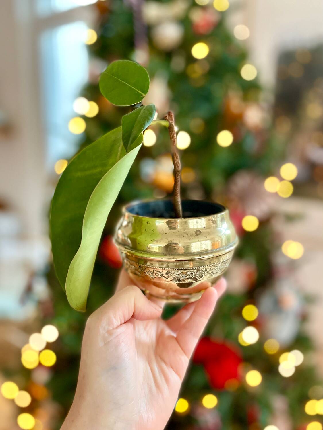 Antique brass flowerpot