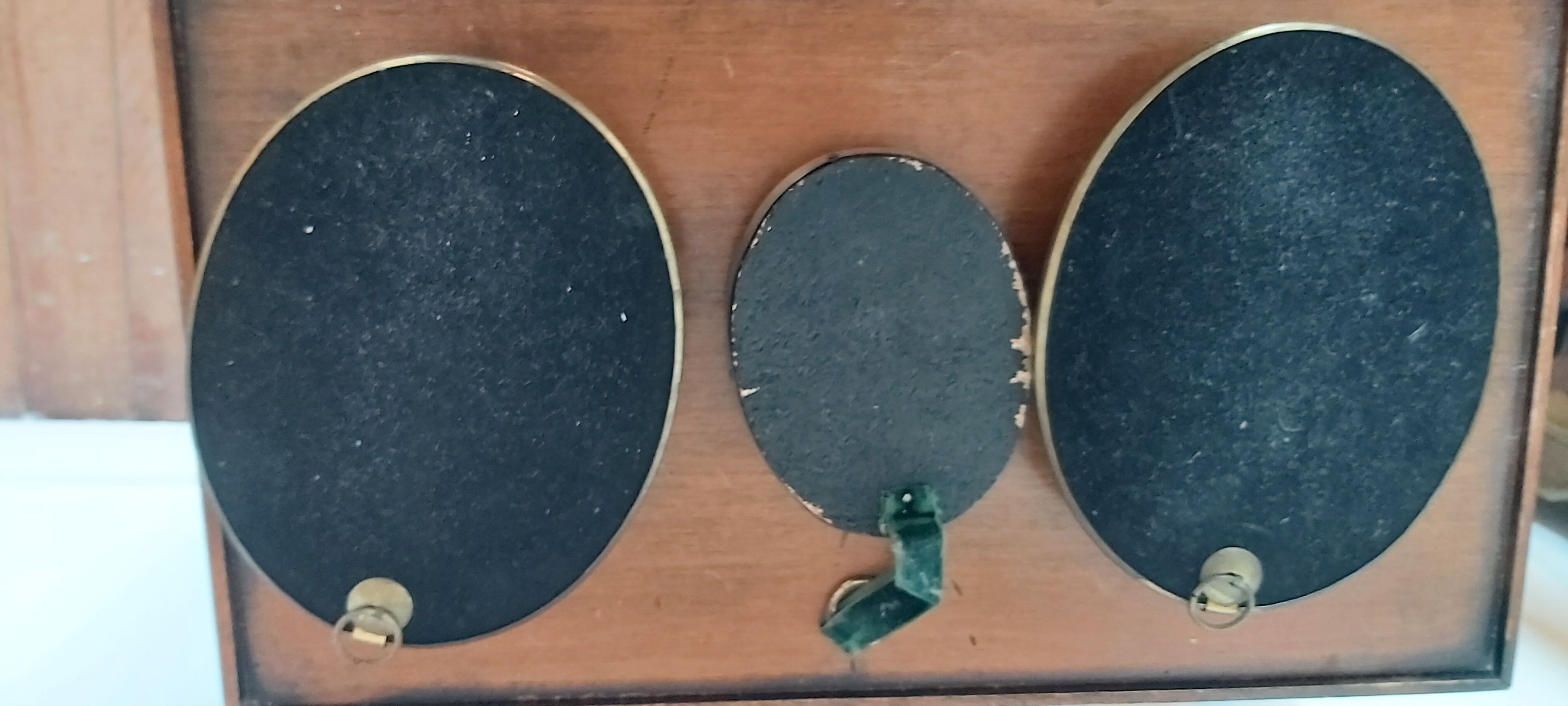 3 frames of dried flowers in curved glass