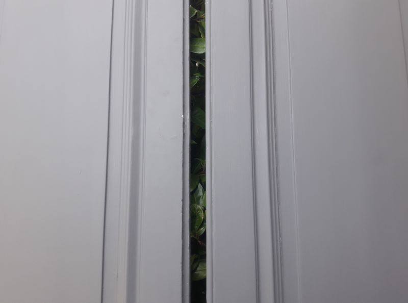 Pair of doors 242,5x116 of antique closet