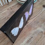 Naturalized butterflies