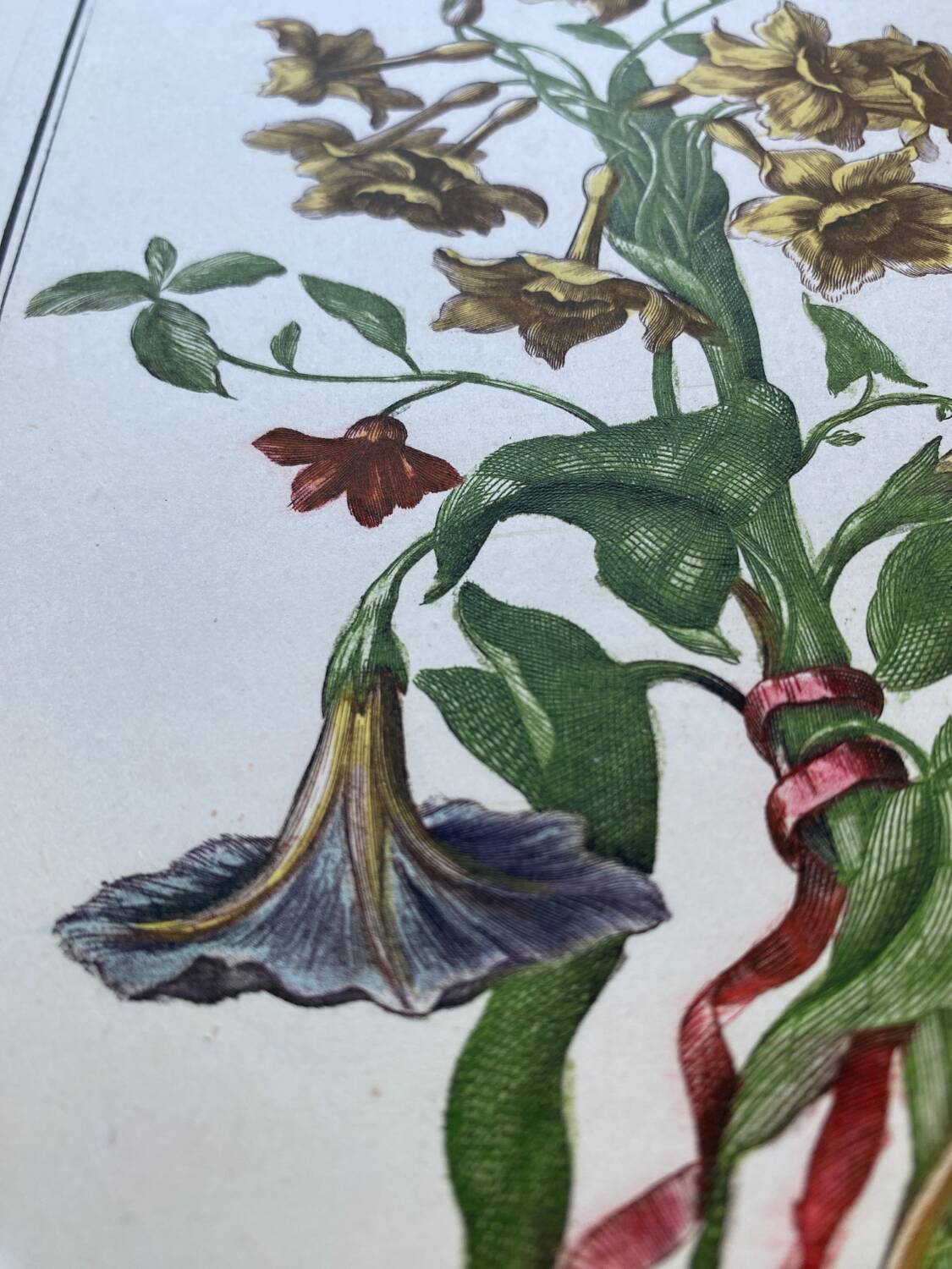 Two floral lithographs 224