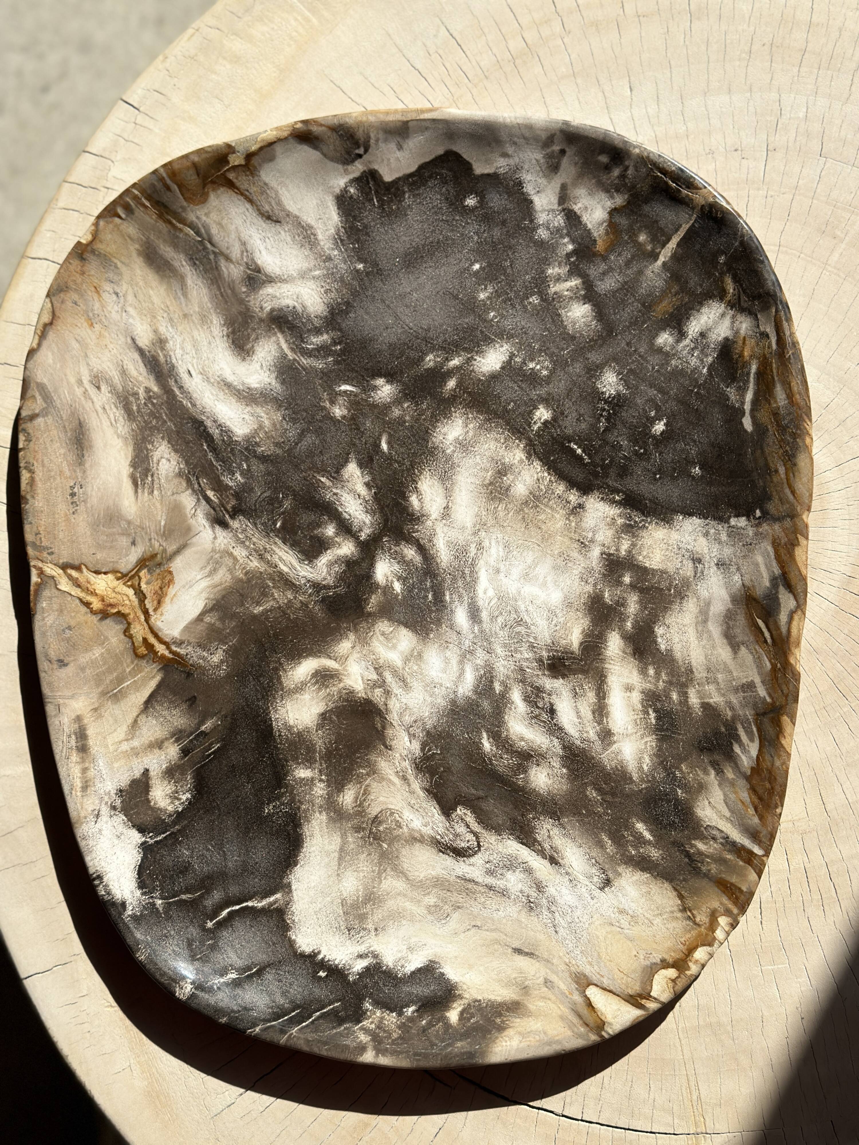 Very large pocket or dish in petrified wood