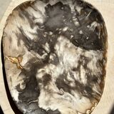 Very large pocket or dish in petrified wood