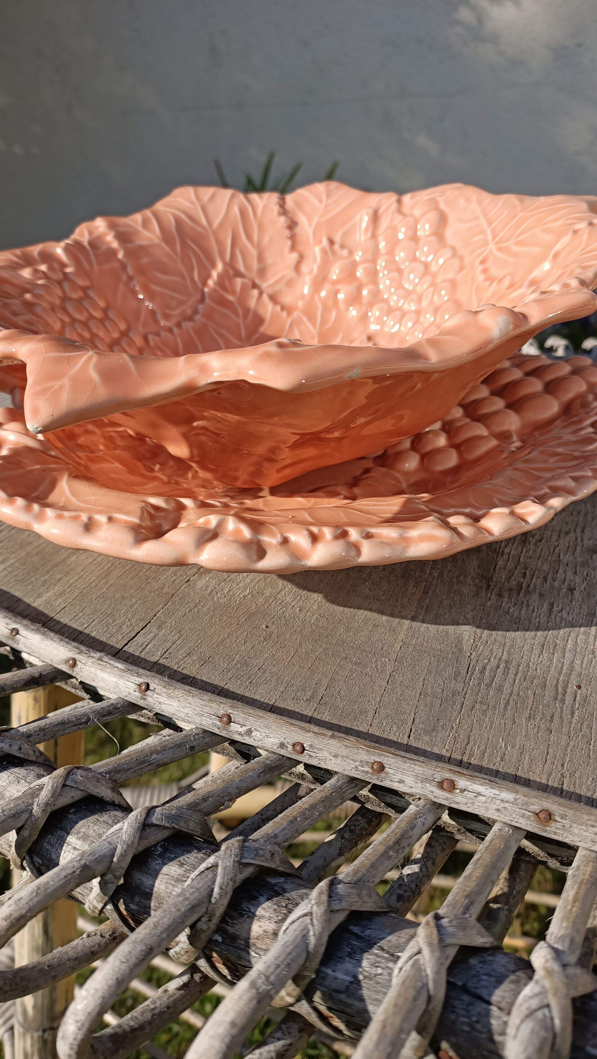 Drainer and slurry dish