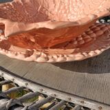 Drainer and slurry dish