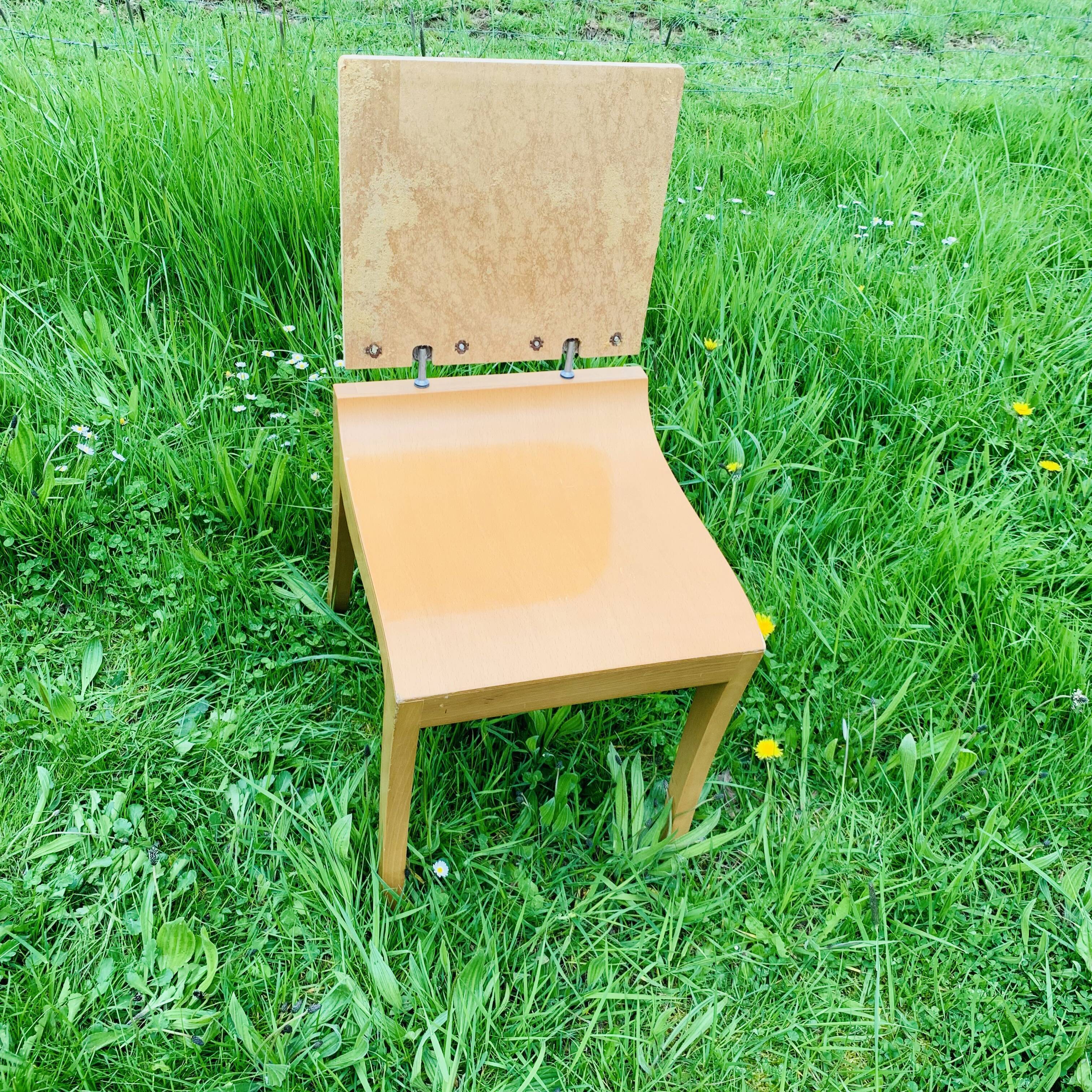 Pair of Ligne Roset chairs