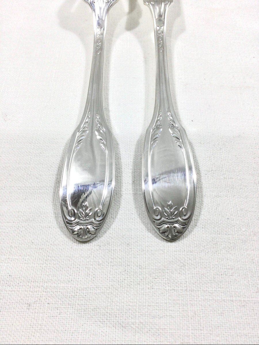 6 cutlery in poisson, François Frionnet