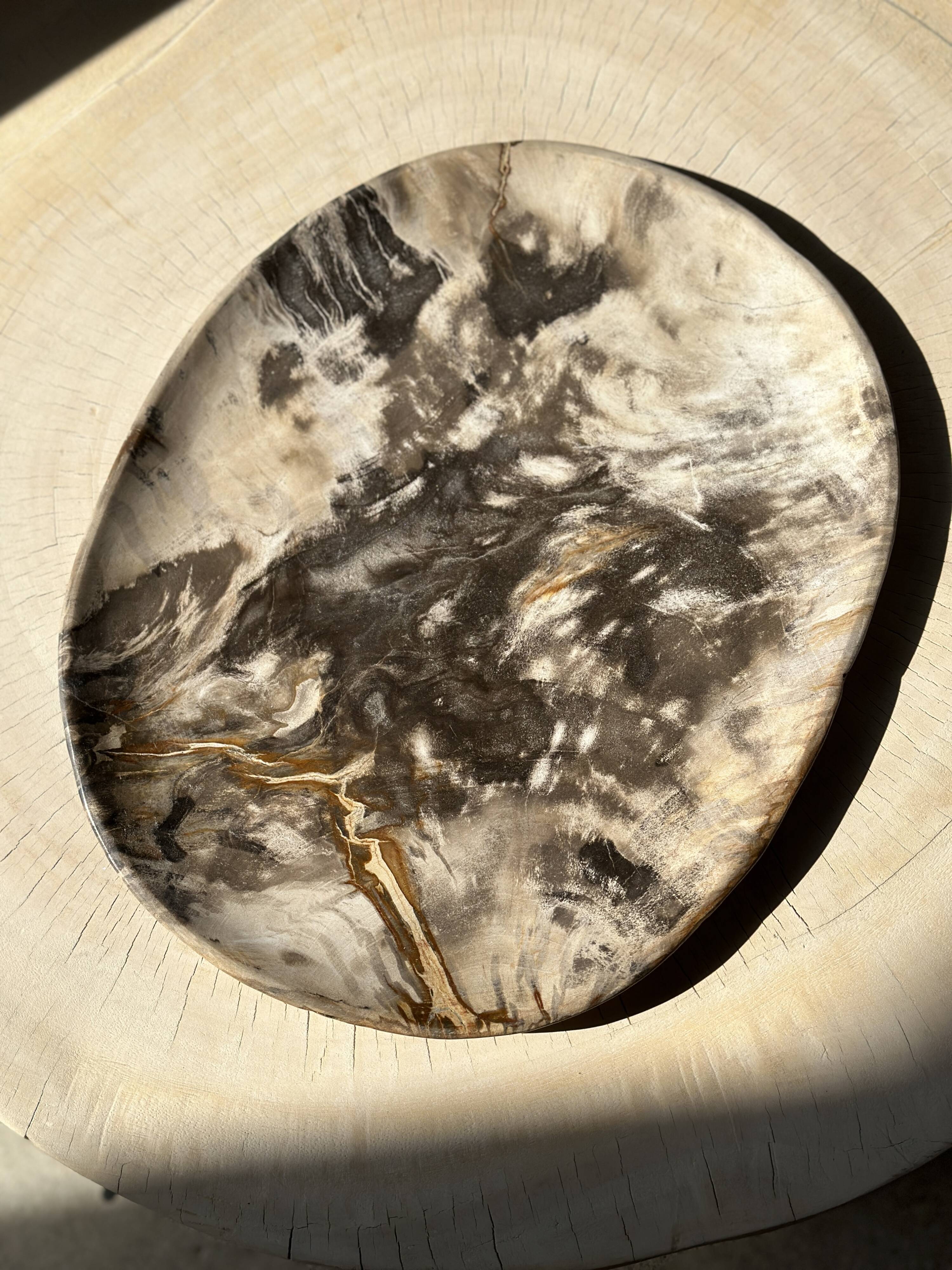 Very large pocket or dish in petrified wood