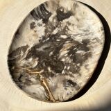 Very large pocket or dish in petrified wood