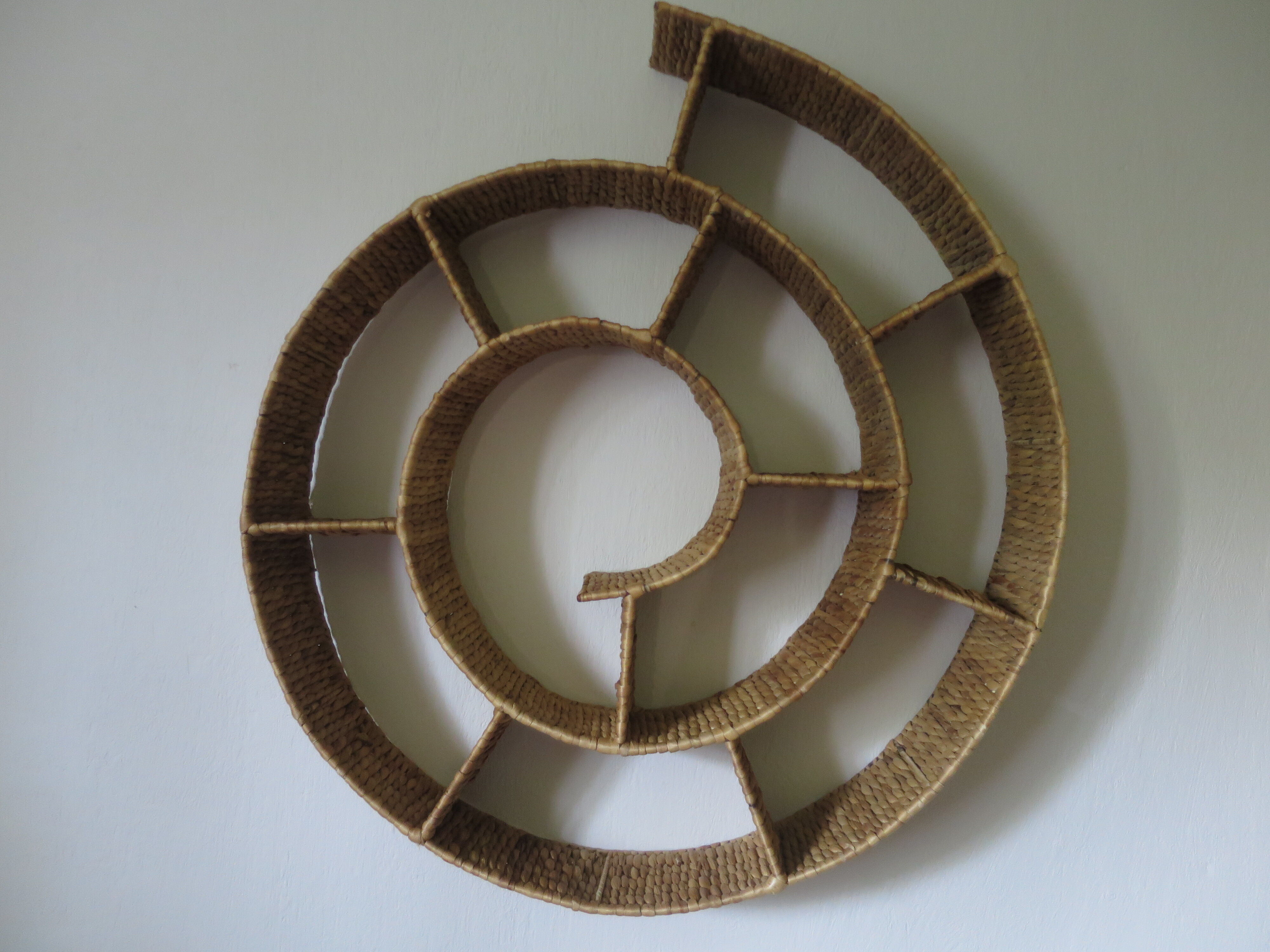 Round snail spiral shelf in sea rush