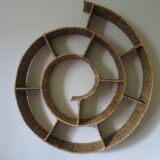 Round snail spiral shelf in sea rush