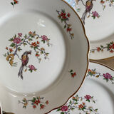Assiettes plates Sarreguemines
