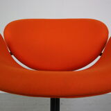 Pierre Paulin Original Midi Tulip Armchair for Artifort, 1960, Netherlands
