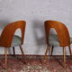 Lot de 4 chaises par Antonin Suman, 1960 Tchécoslovaquie