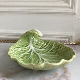 Cup delight slurry cabbage