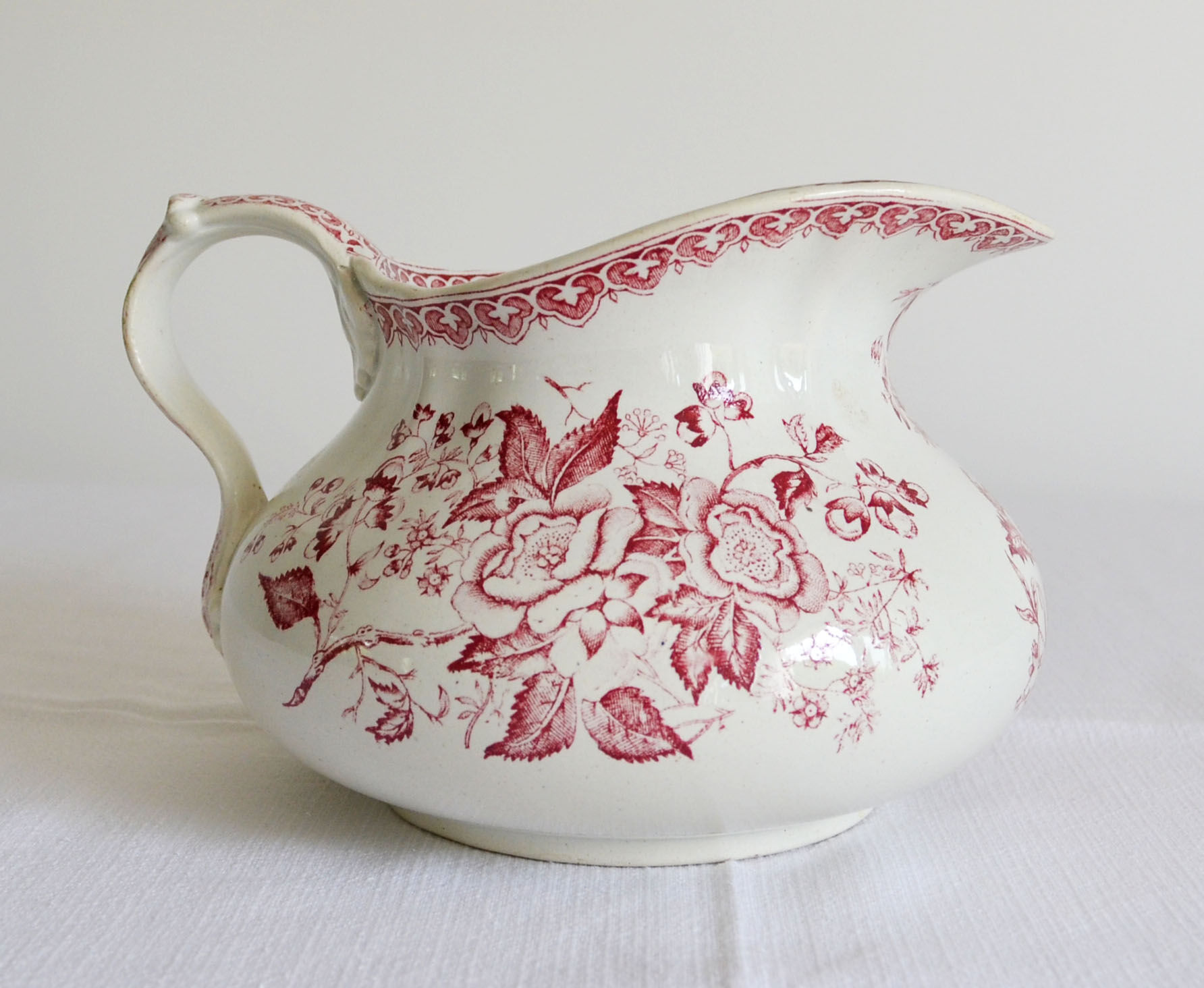 Bushy earth pitcher