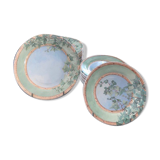 plates faience of GIEN model IVY