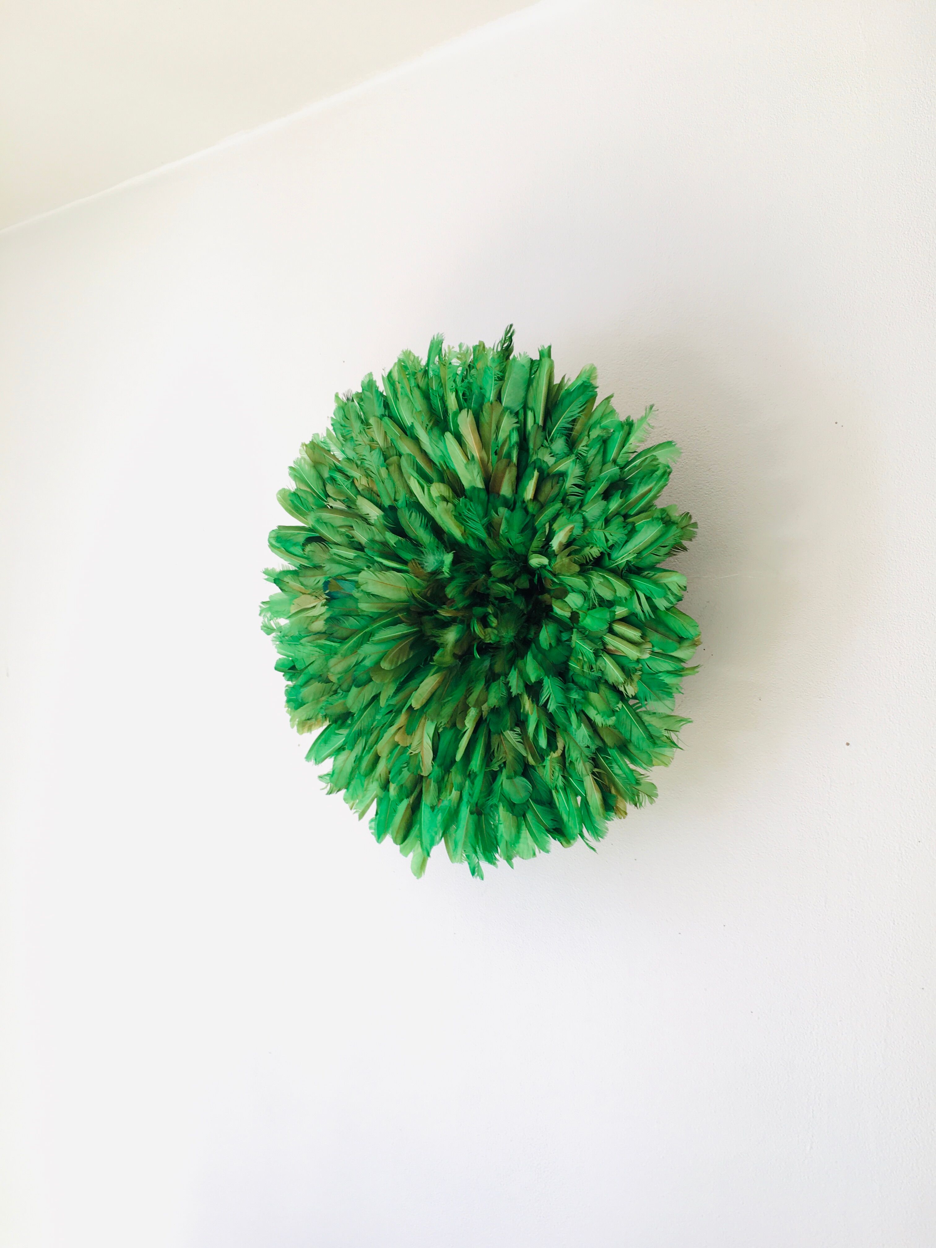 Juju hat vert 50 cm