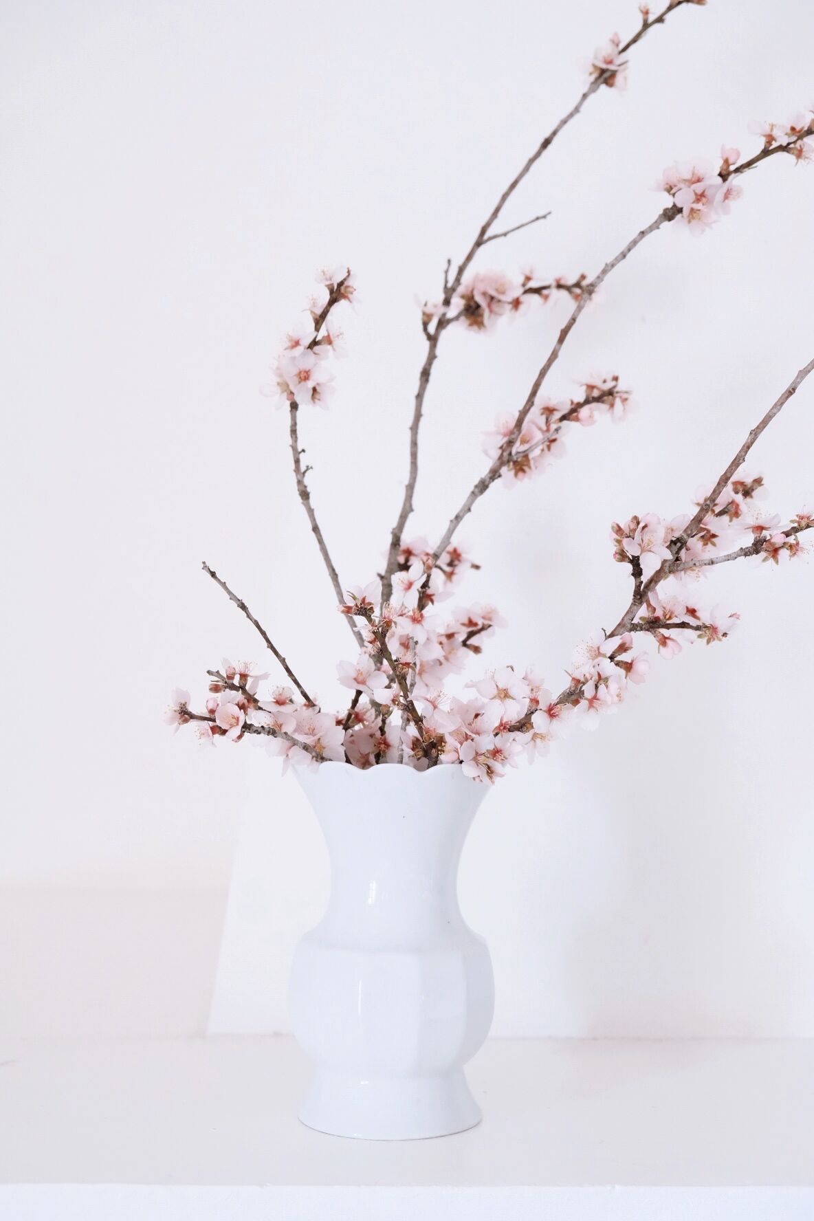 White vase Bareuther Waldsassen 50s