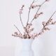 White vase Bareuther Waldsassen 50s