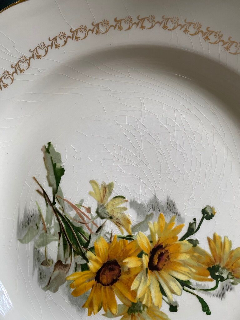 Lot of plates flat and hollow 10-10. "Margurites" by Gien. 1960s-70s.