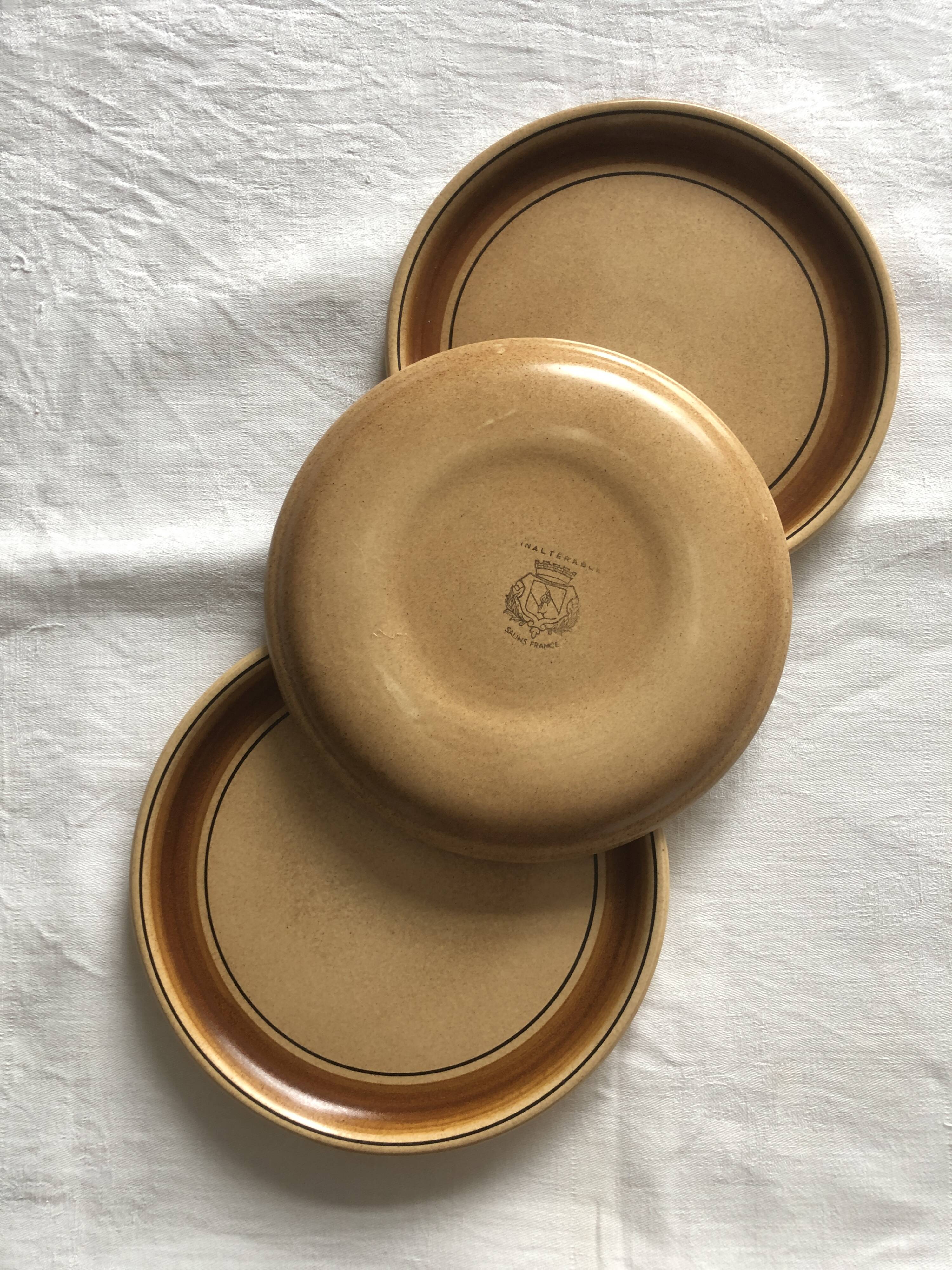 Salins stoneware dinner plates
