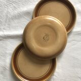 Salins stoneware dinner plates