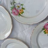 6 Anemone / Digoin flat plates