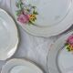 6 Anemone / Digoin flat plates