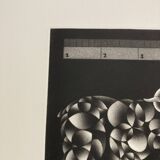 Mario avati (1921-2009), merinos, black manner, 1970