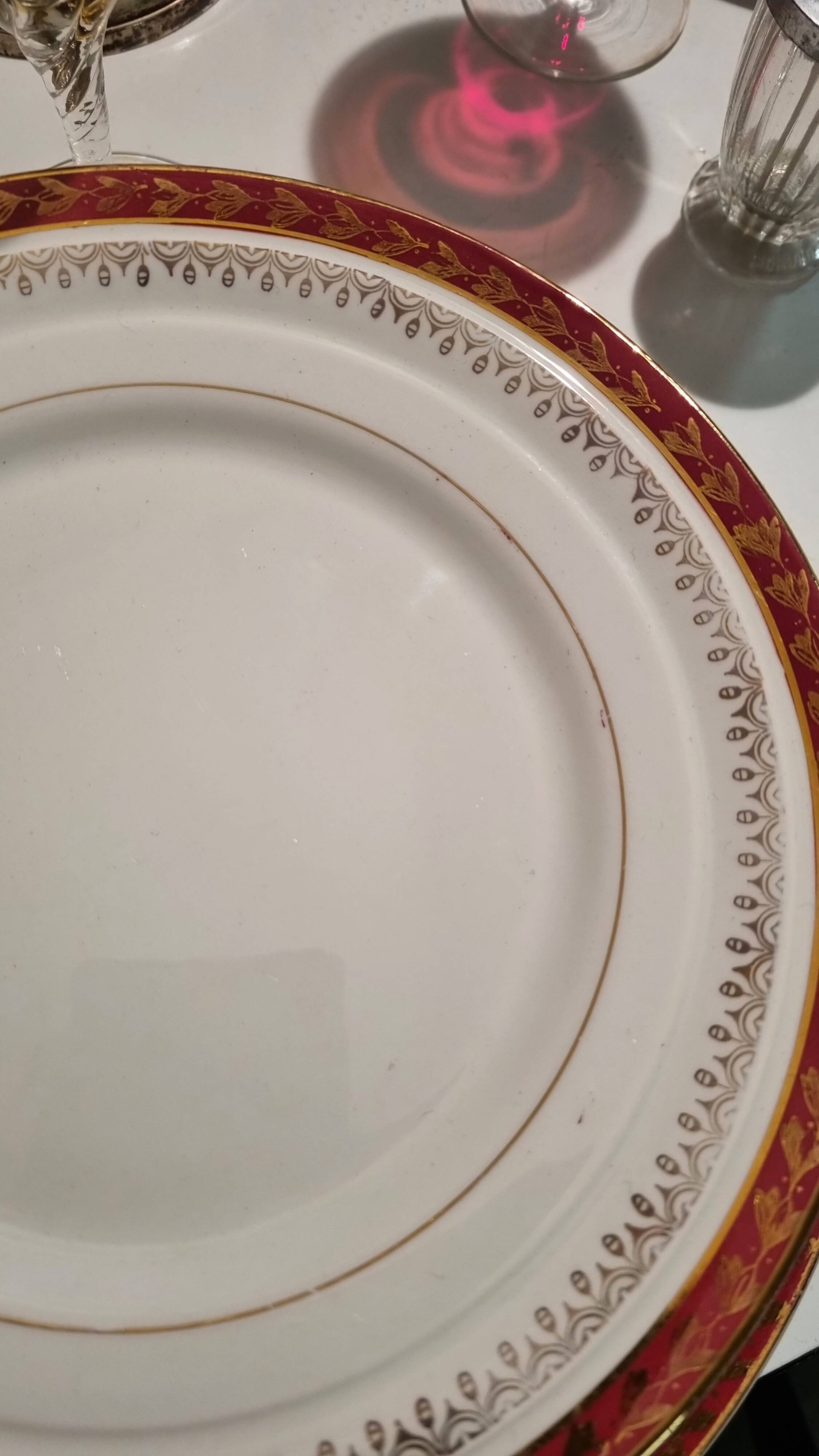 Ceranord porcelain dinner plates