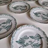 Set of 12 Saint Amand ironstone plates, Richelieu model