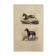 Original zoological plank "Zebra and Mulet" Buffon 1840