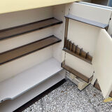 Vintage toilet cabinet