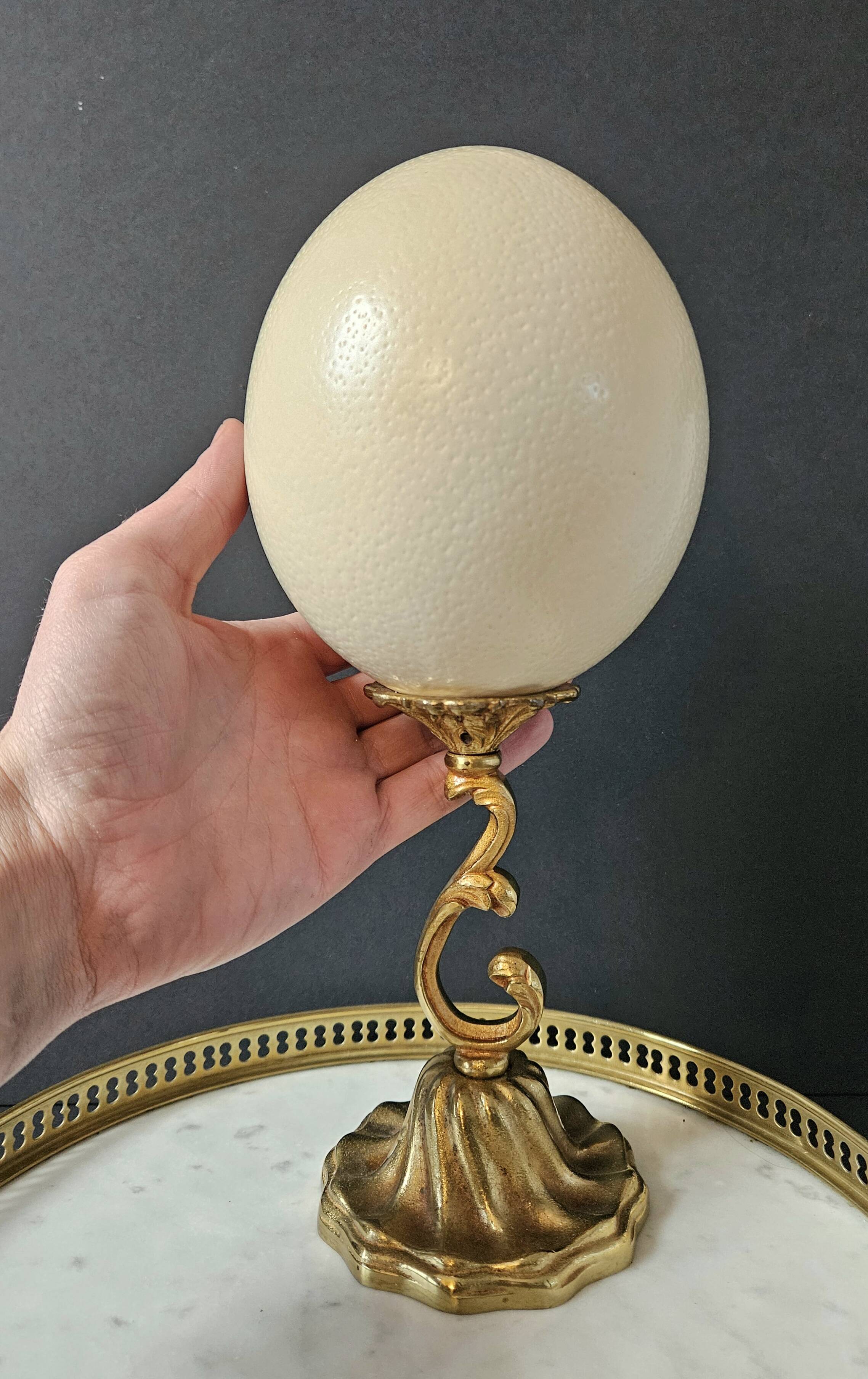 Ostrich Egg, Brass Base (20th Century) H: 29 cm