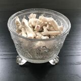 Lot of white corals