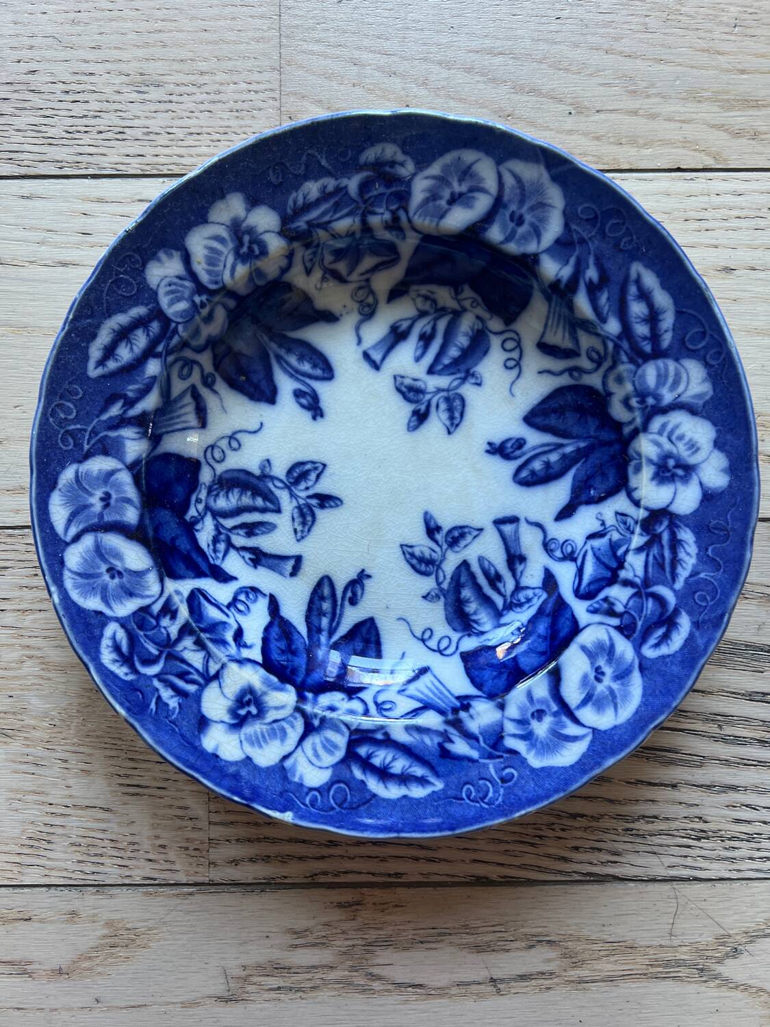 Volubilis plate J Vieillard and Johnston