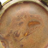 Denbac pitcher mounts lion paws