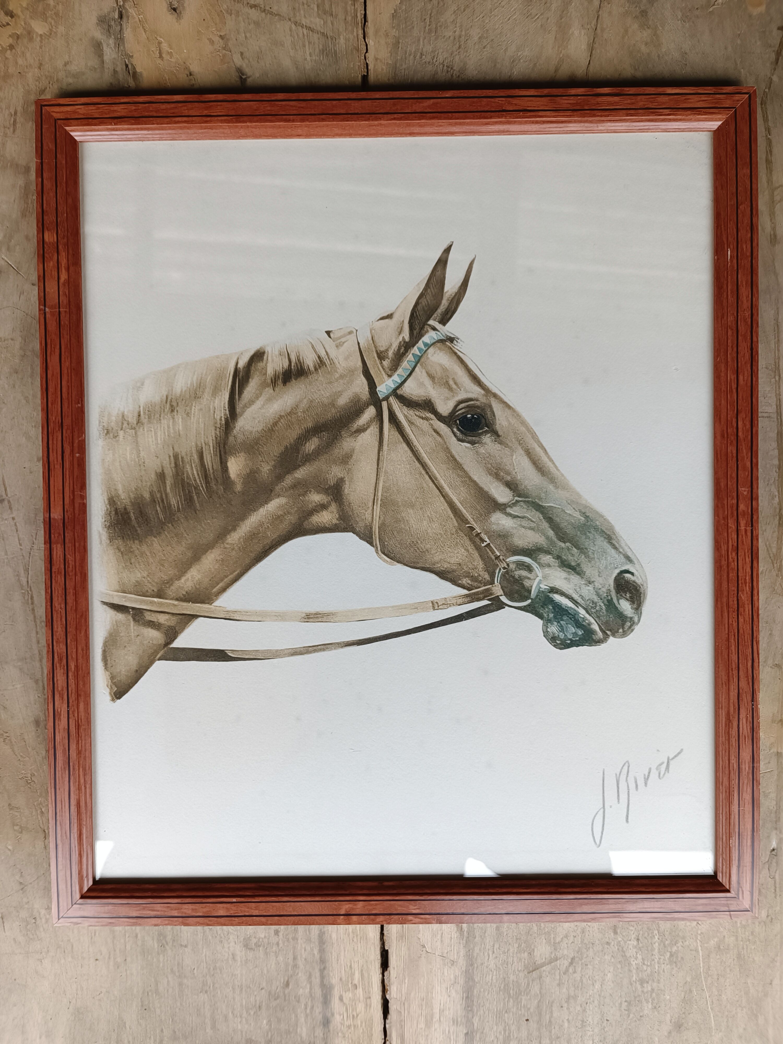 Lithographie cheval J.Rivet